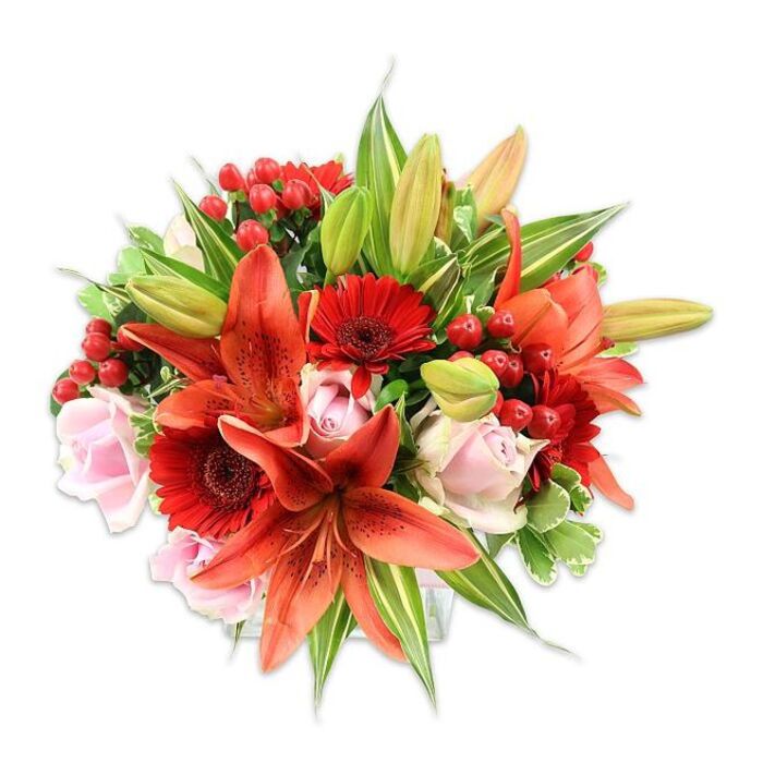 Set against a crisp white backdrop, this opulent floral arrangement reads as a study in warm contrasts and craftsmanship. The eye is immediately drawn to several large Asiatic lilies in a bright orange-red tone, some revealing soft speckling and recurved petals, others kept as graceful buds that promise further bloom. Around those lilies, vivid crimson Gerbera daisies with dark central disks punctuate the composition, their many fine petals adding an animated texture. Interspersed are blush-pink roses-some tightly formed, others opening to show layered, satiny petals-bringing a gentle, romantic counterpoint to the more vibrant flowers. Scattered throughout are clusters of glossy red hypericum berries that glint under the light and introduce a jewel-like, tactile element against the smoother petals. A varied selection of foliage-broad solid greens and a few variegated leaves streaked with pale cream-frames and supports the blooms, producing a lush, rounded silhouette that feels complete from every angle. The lighting emphasizes the different surfaces: the waxy sheen of the berries, the papery resilience of the lilies, and the soft velvet of the roses, while the implied fragrance mixes the lily's spice with the rose's sweetness. This bouquet evokes warmth and joy, suitable for occasions from anniversaries to congratulations, and would sit beautifully in a bright hallway or placed on a dining table near Chessington South station or in a home across the Royal Borough of Kingston upon Thames.